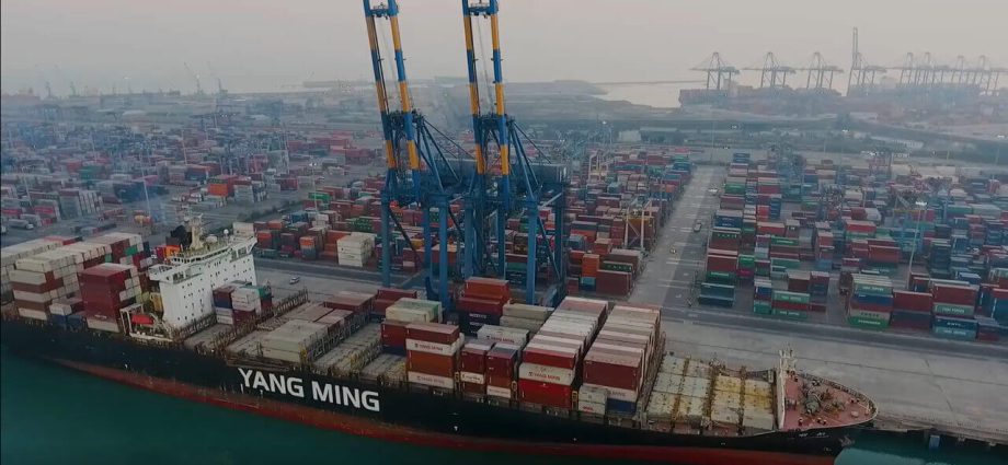 Adani group Debt crisis